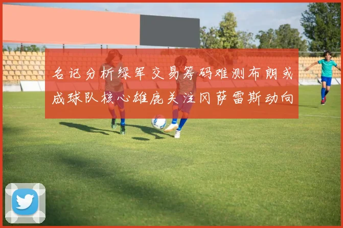名记分析绿军交易筹码难测布朗或成球队核心雄鹿关注冈萨雷斯动向